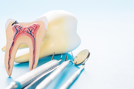 North Broad Family Dental   Orthodontics